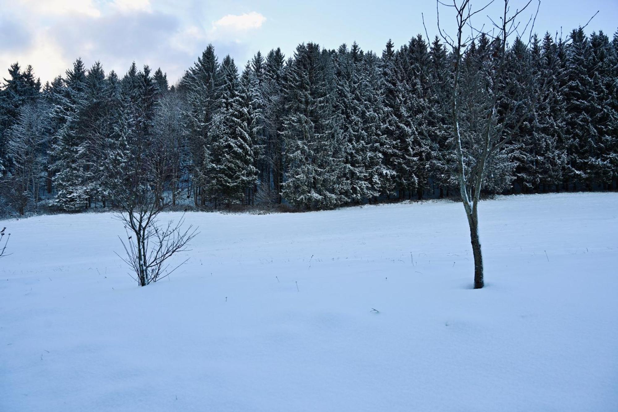 Aloha Suites - Alpin Lodge Haus Haus im Ennstal Luaran gambar