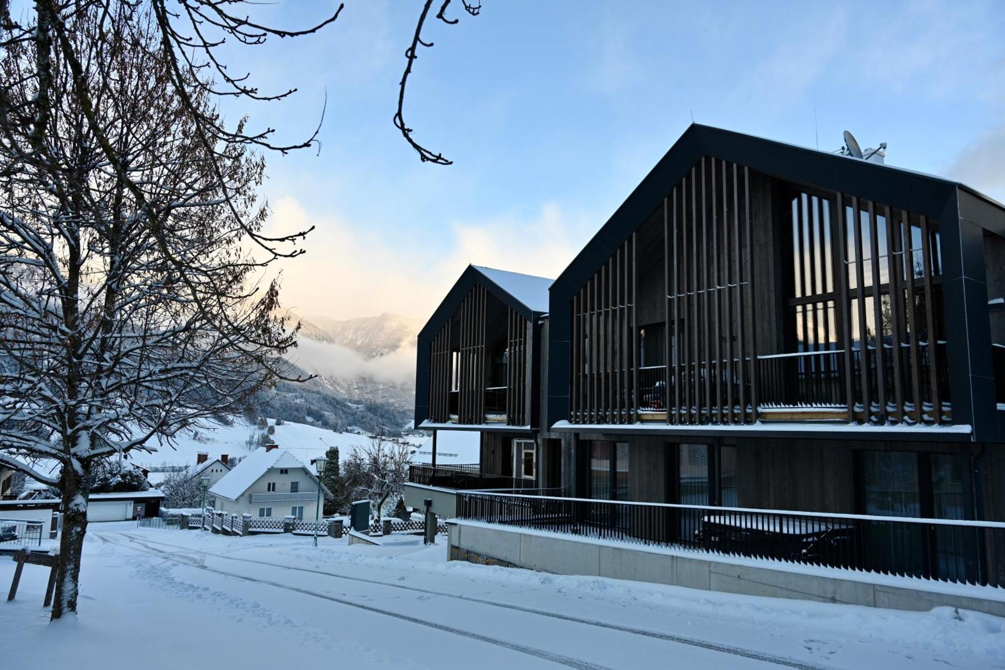 Aloha Suites - Alpin Lodge Haus Haus im Ennstal Luaran gambar